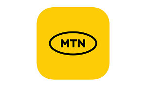 mtn icon